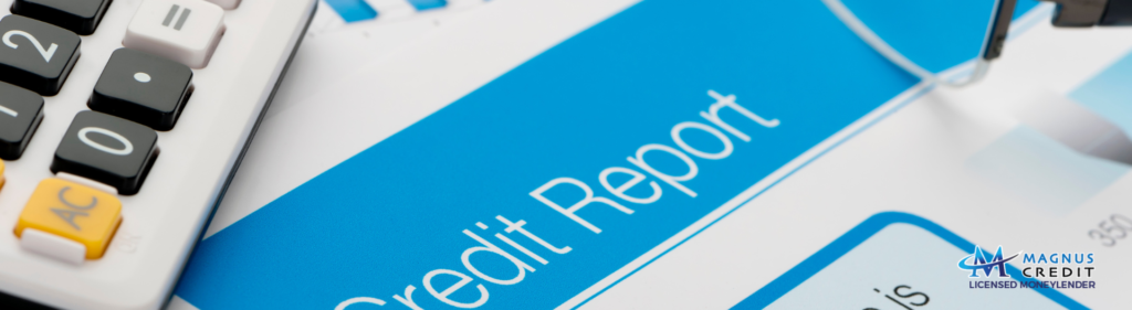 Decoding Loan Information Report