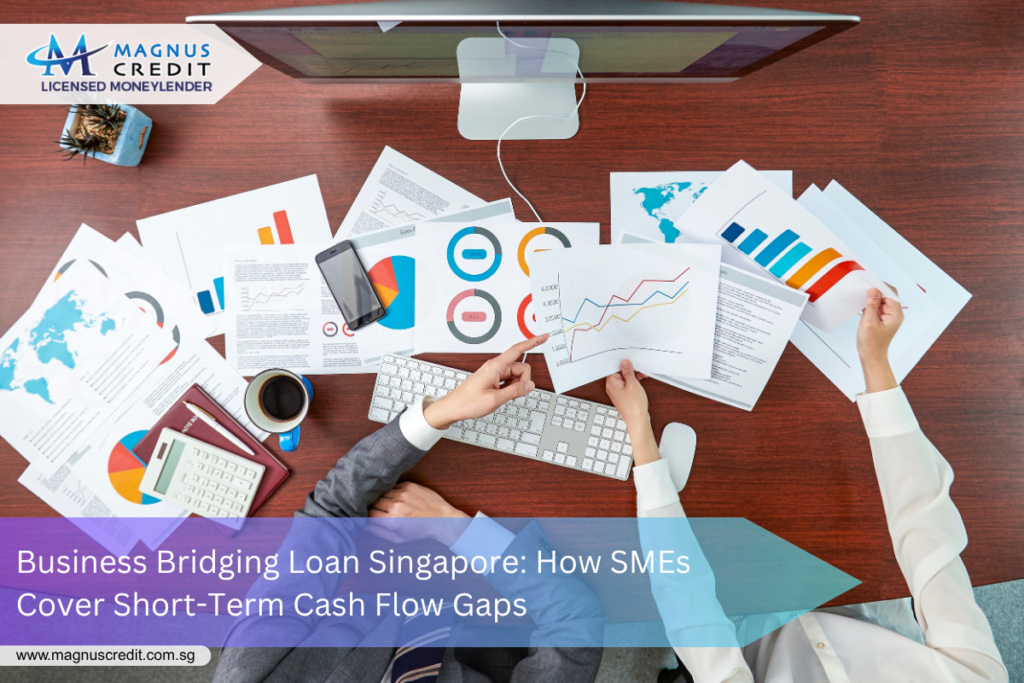 Bridging short term cash flow gaps with business loan