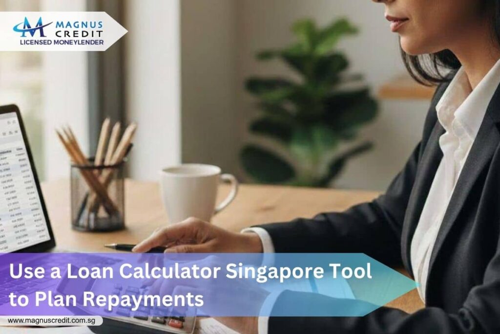 Loan Calculator Singapore Plan Repayments