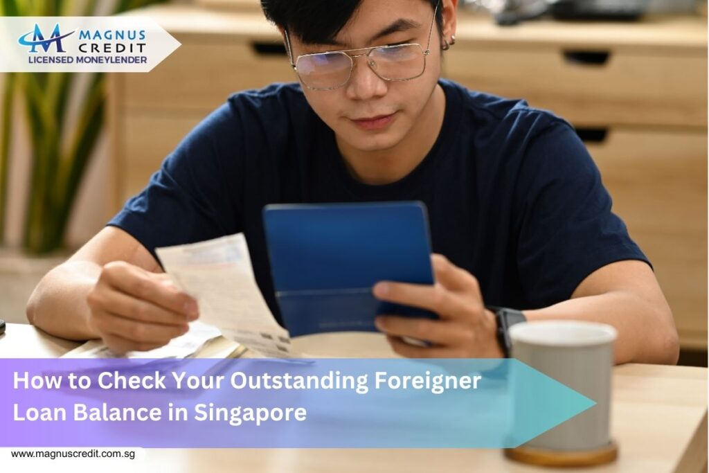 Foreigner Loan Balance